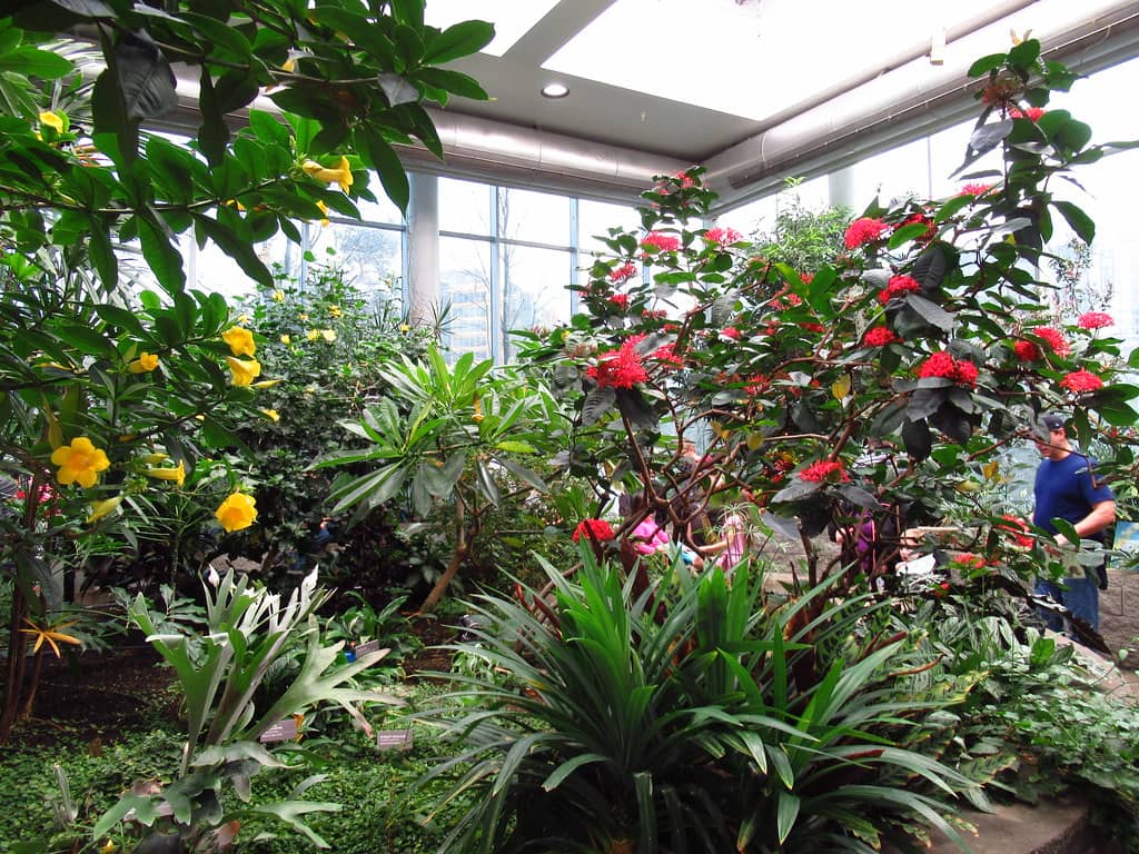 Butterfly House