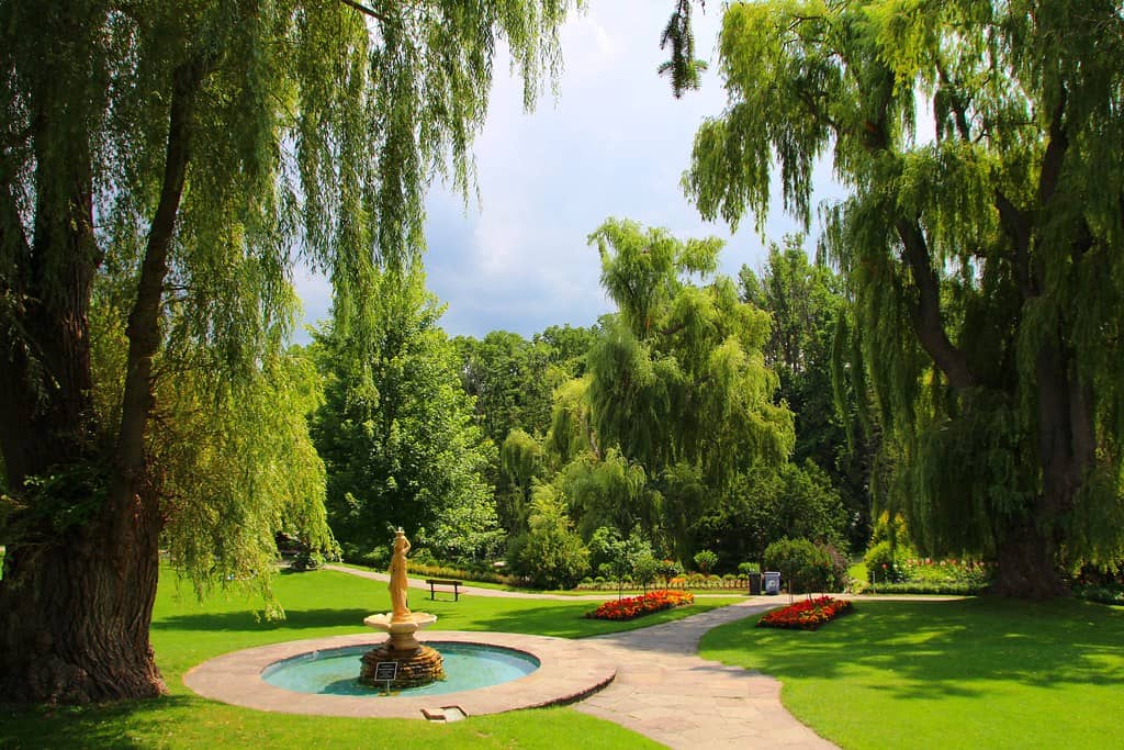 Tranquil Fountains