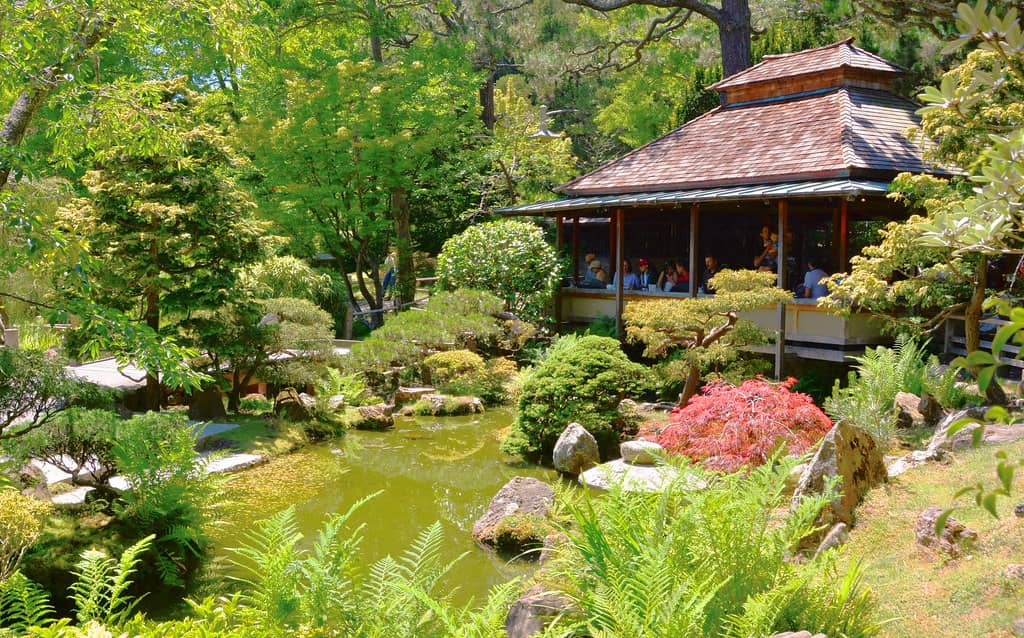 Serene Tea House