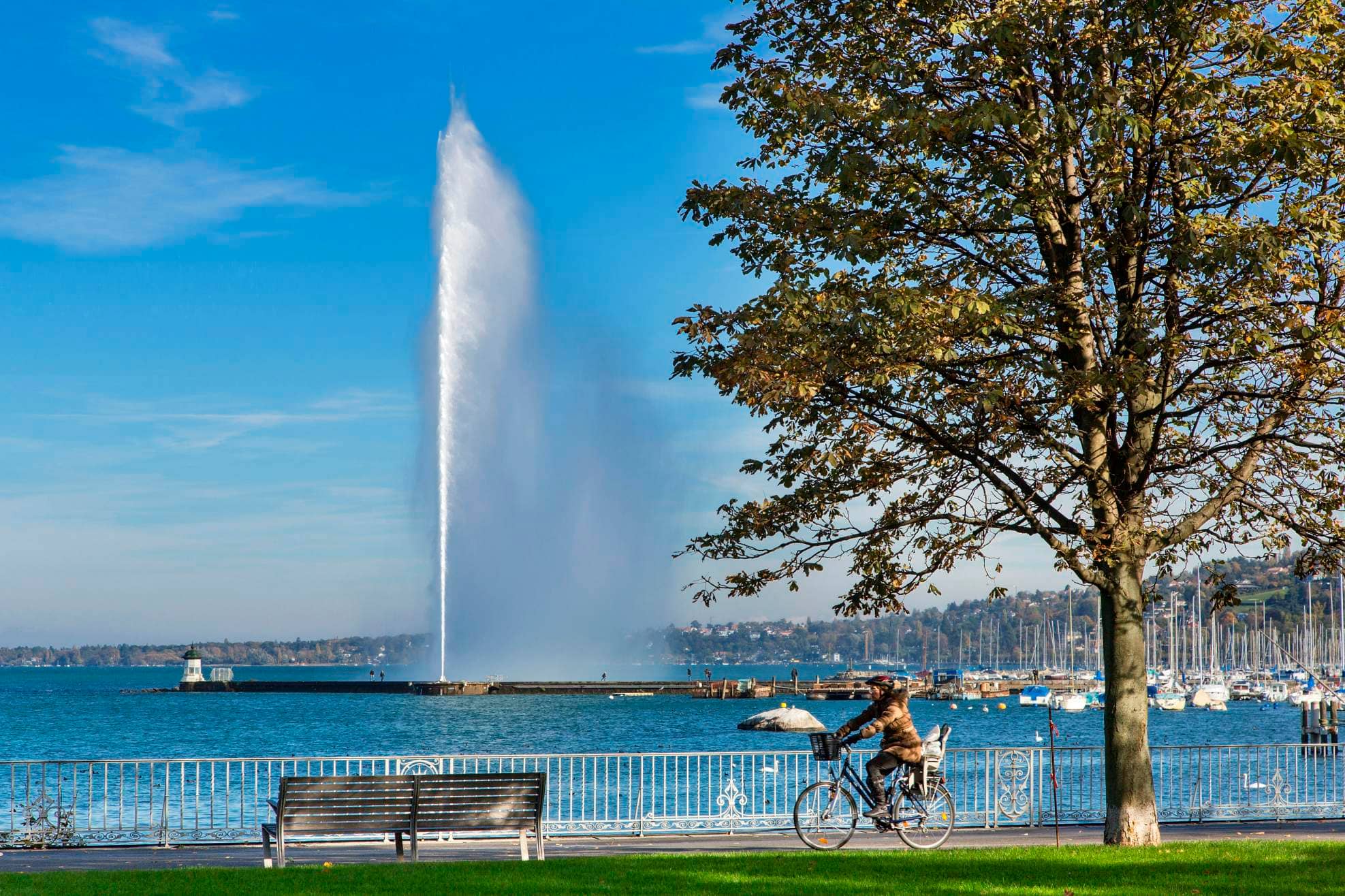 Jet d'Eau Views