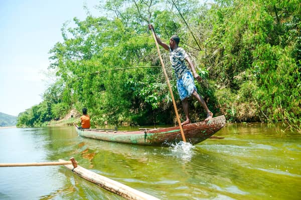 Mangrove Forests