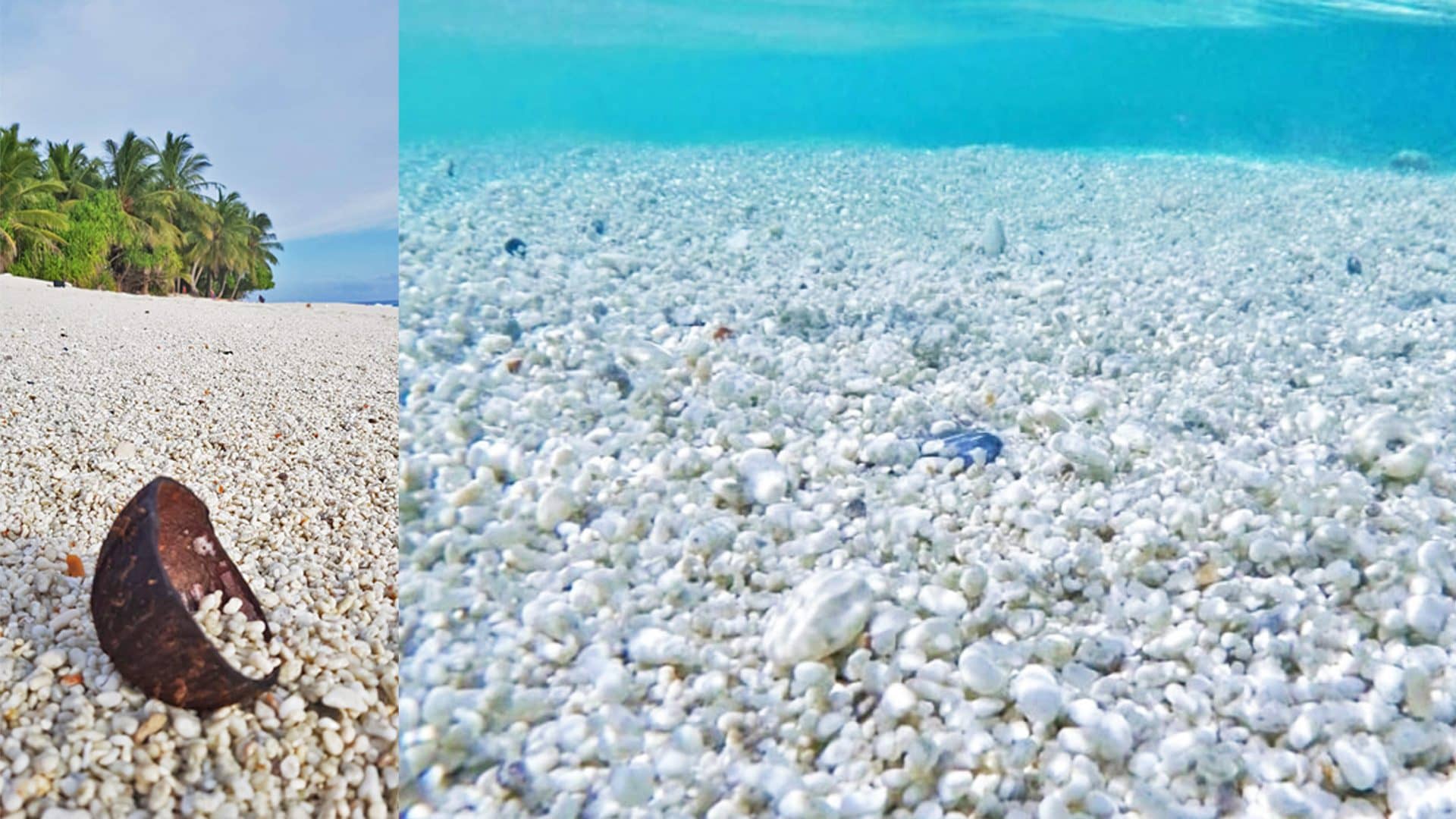 Thoondu Beach Pebbles