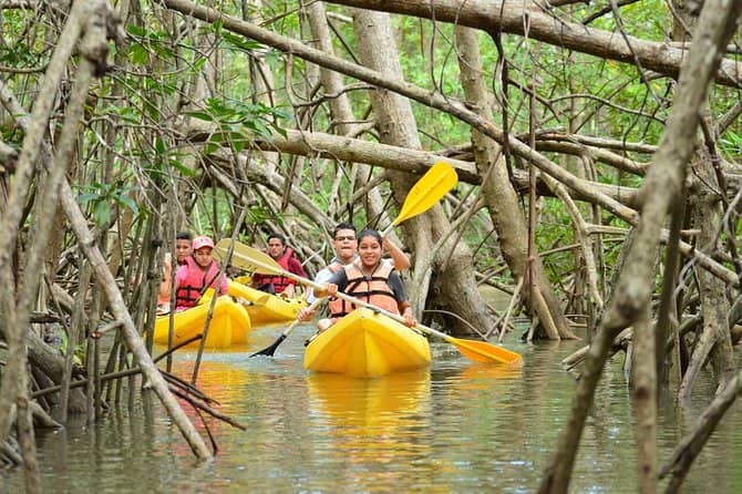 Educational Boat Tour