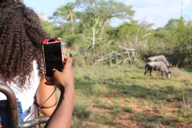 Scenic Safari Drives