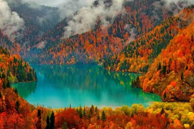 Autumnal Splendor