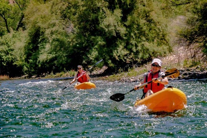 Wild Horse Sightings