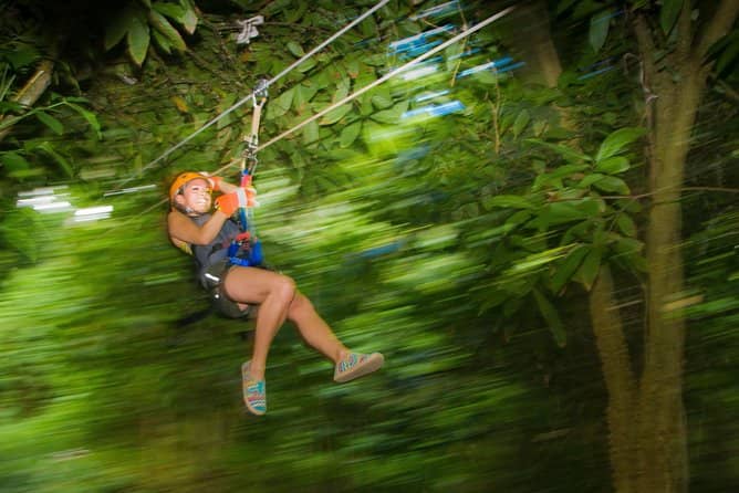 Local Culinary Delights