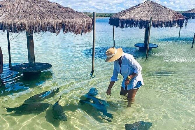Third hero image