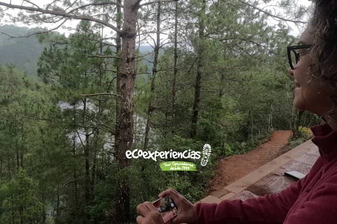 Nearby Flagpole Climb