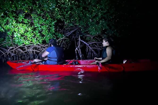 The Bioluminescent Glow