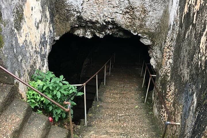 Informative Guided Tours