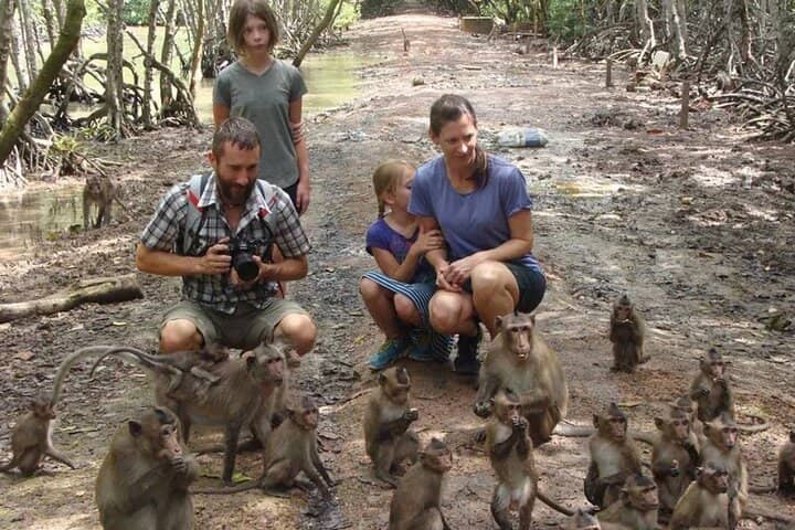 Monkey Encounters