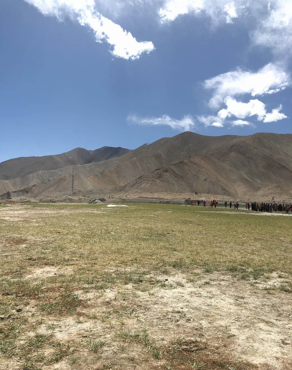 Expansive Green Pastures