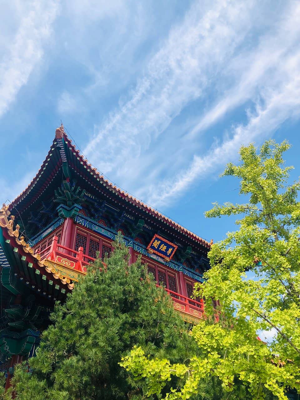 Vertical photo