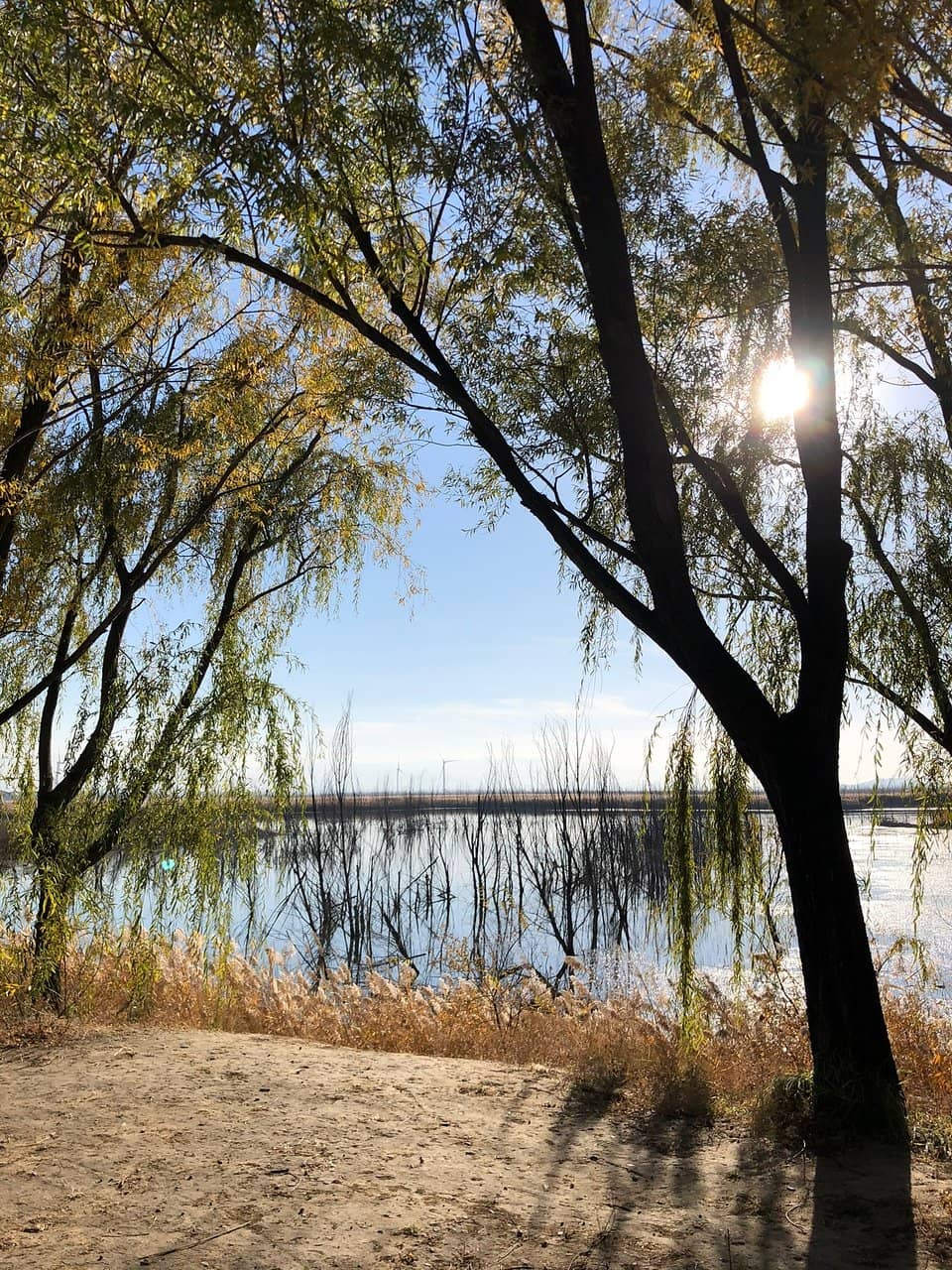 Vertical photo