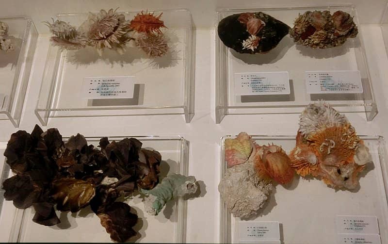 Architectural Interest