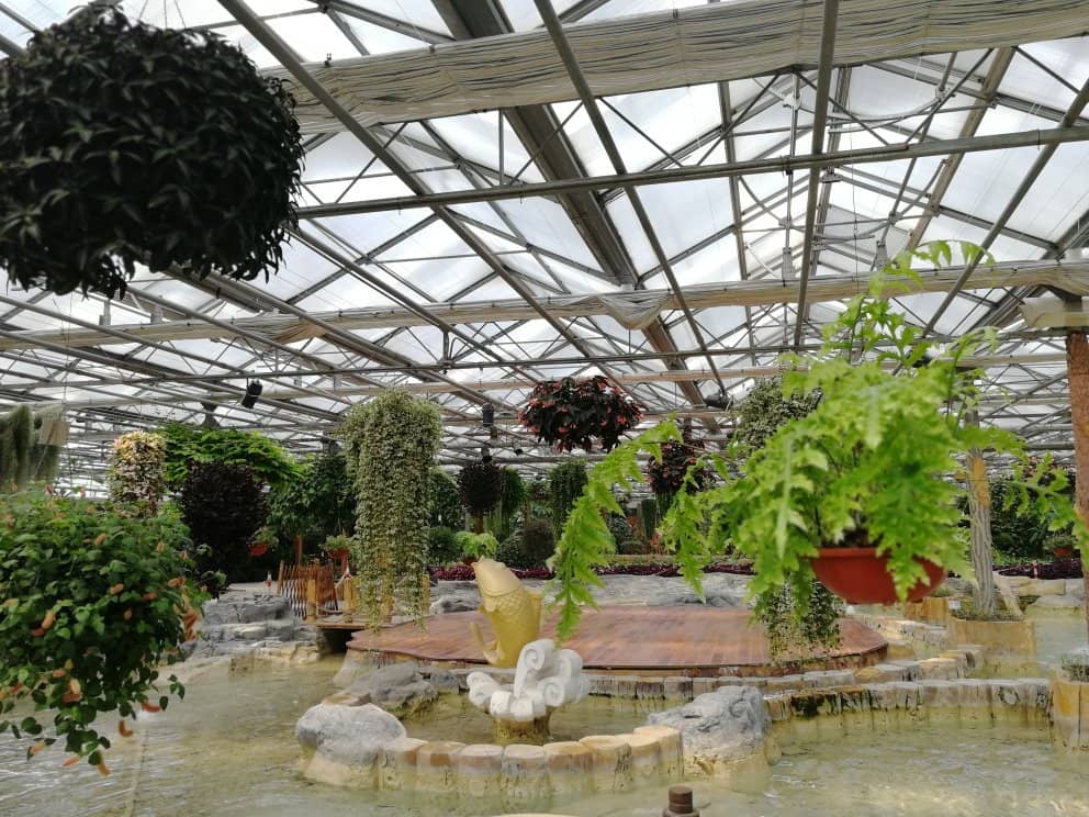 Outdoor Flower Displays