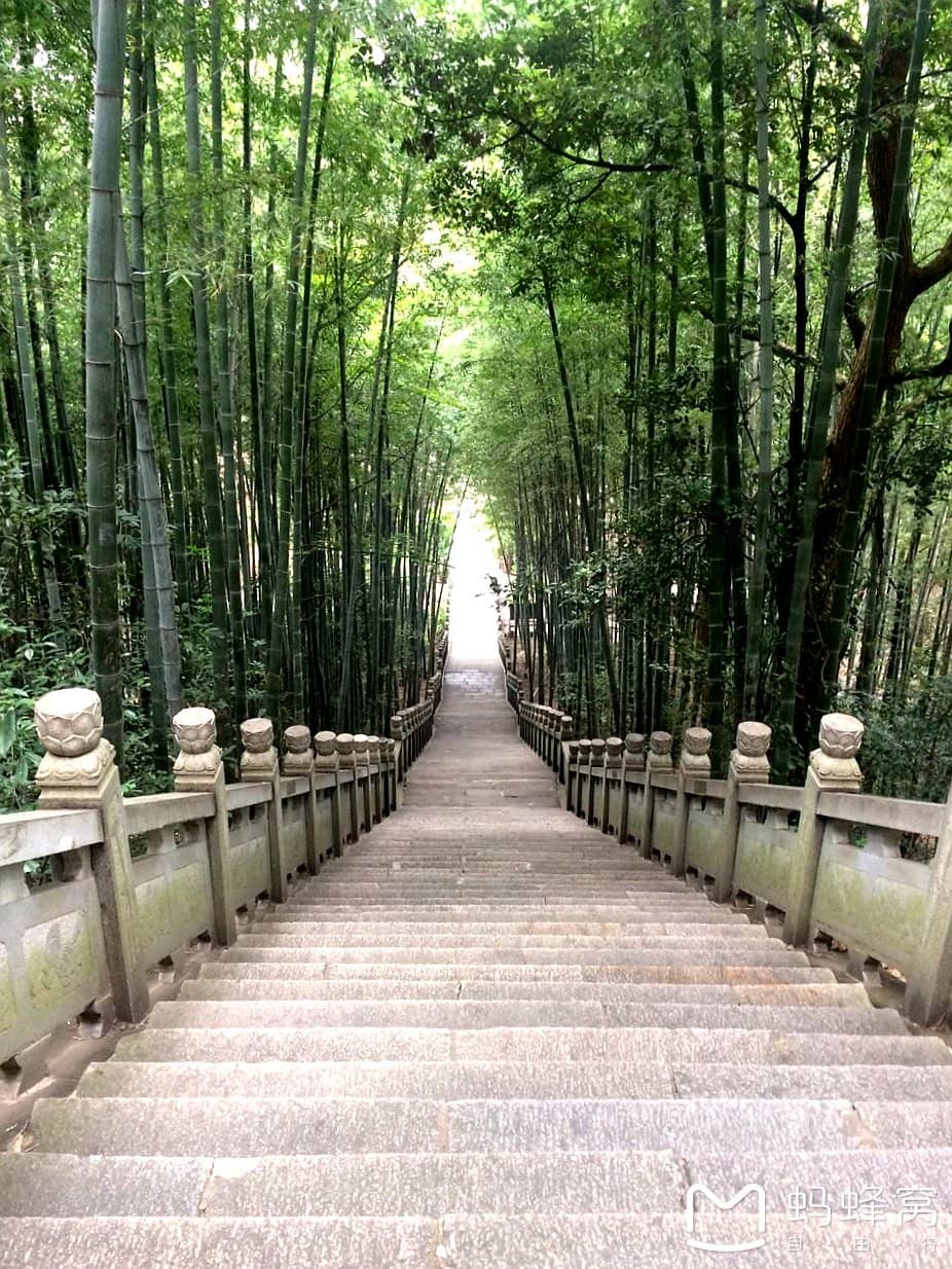Idyllic Garden Scenery