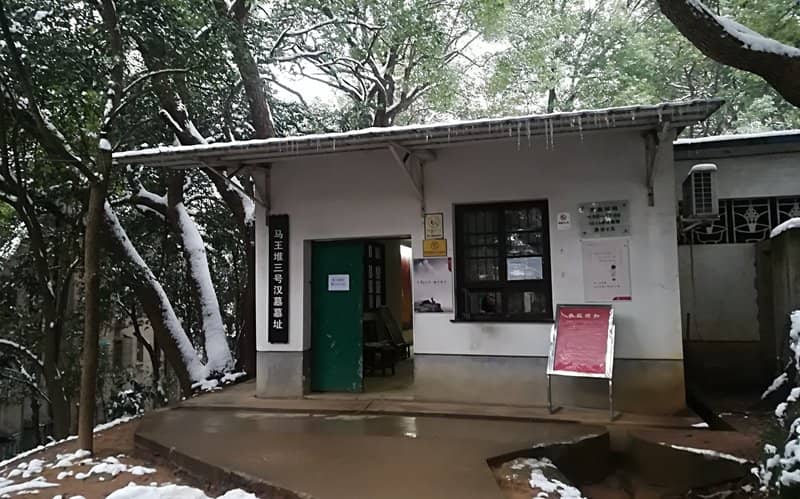 The Excavation Site Itself