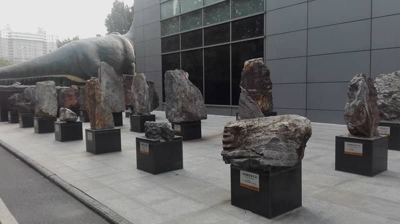 Interactive Fossil Excavation