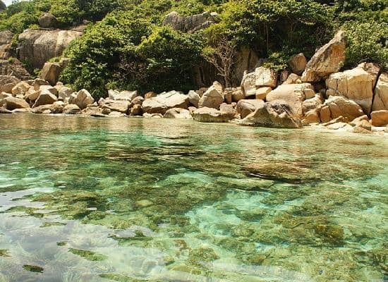 Scenic Island Exploration