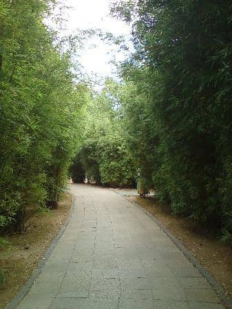 Vertical photo