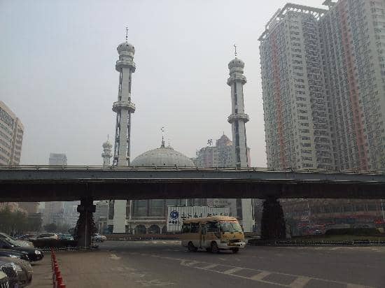 Vertical photo