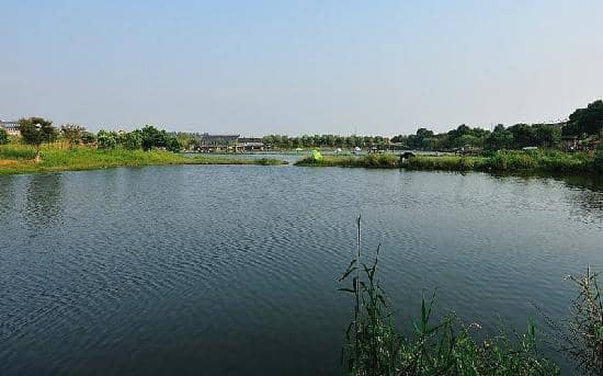 Cycling Trails