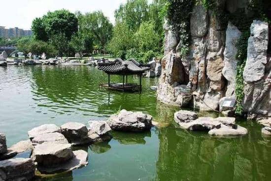 Family-Friendly Play Area