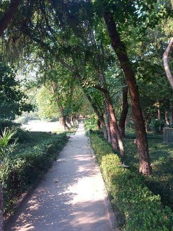 Hefei's Science City Vibe