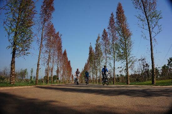 Dianchi Lake Views