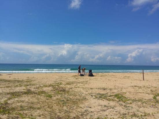 Tropical Island Vibes