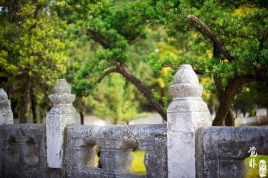 Stele Exhibition Hall