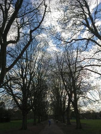 Adventure Playground