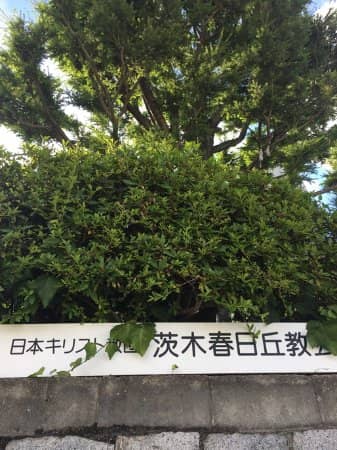 Minimalist Concrete Architecture