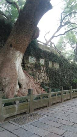 Wushan Hill Scenic Area