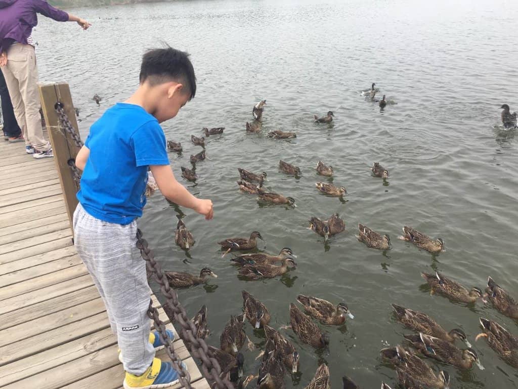 Water Activities