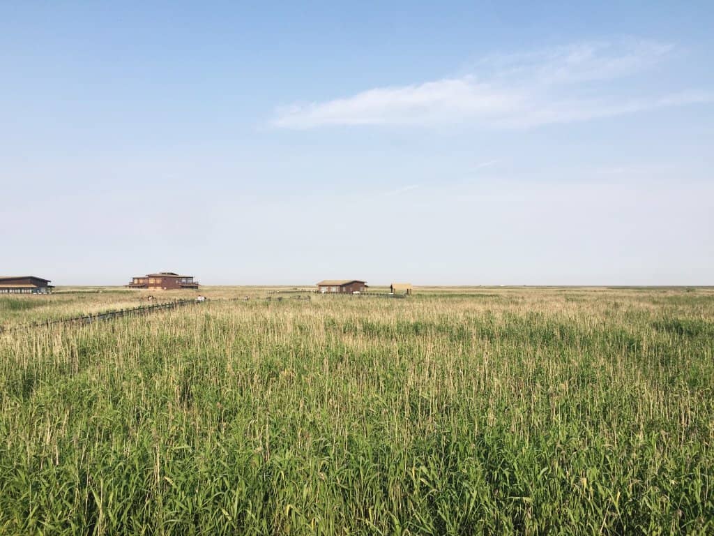 Extensive Wetland Trails