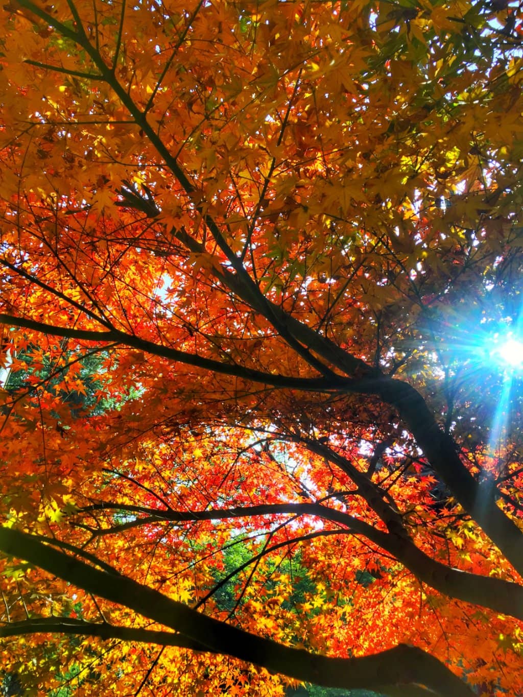 Vertical photo