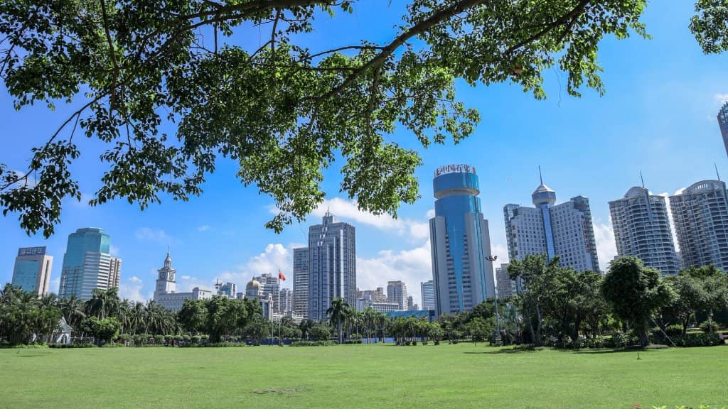 Varied Pavement Walking Track