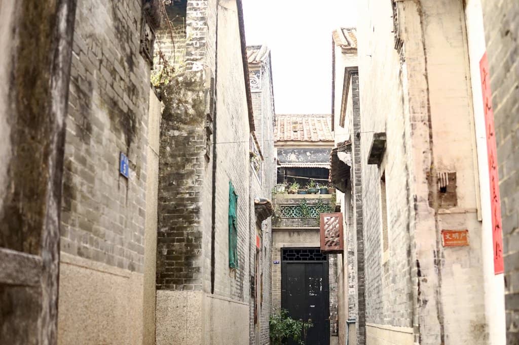 Traditional Shunde Cuisine