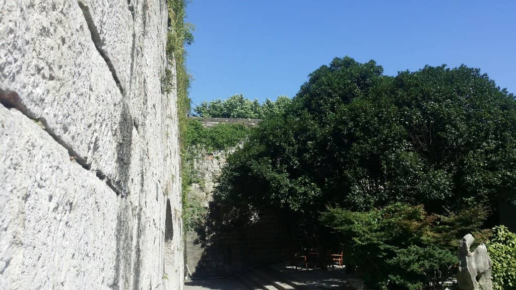 Xuanwu Lake Panorama