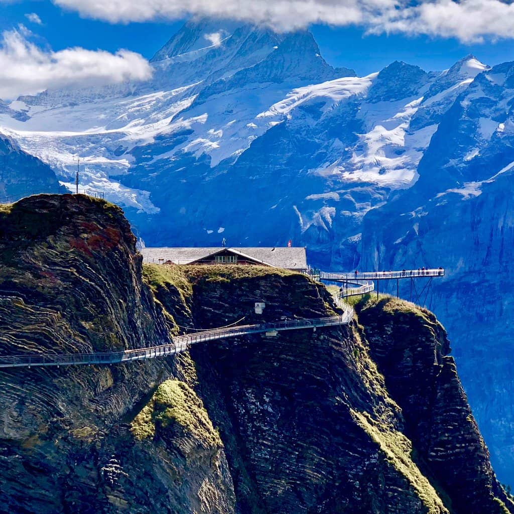 Adventure Playground