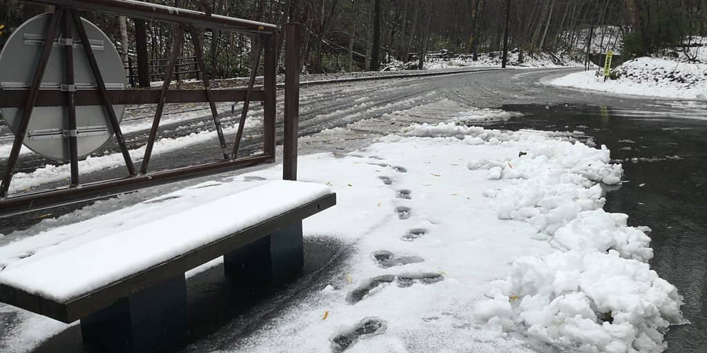 Scenic Reservoir Views