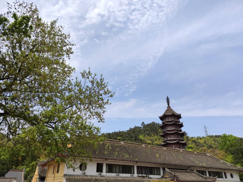 Complimentary Vegetarian Lunch