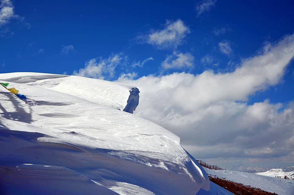 Himalayan Silhouette