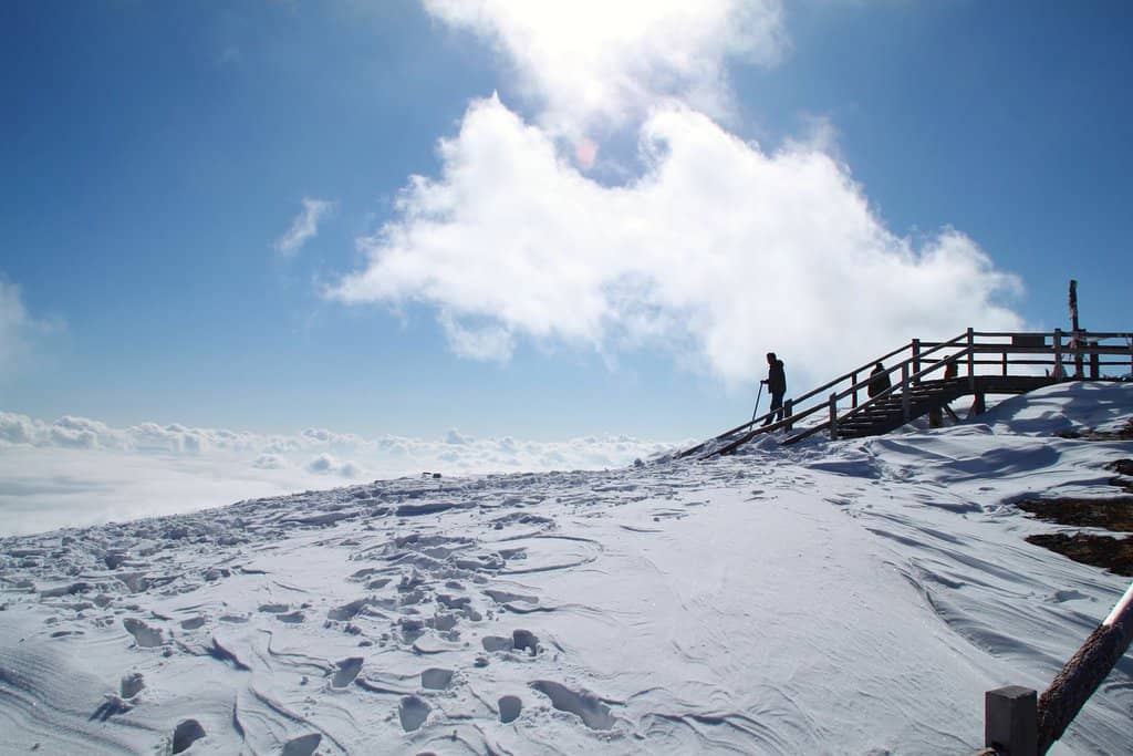 Tranquil Snow Mountain Experience