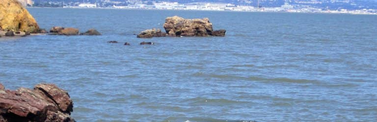 Bayfront Views & Activities