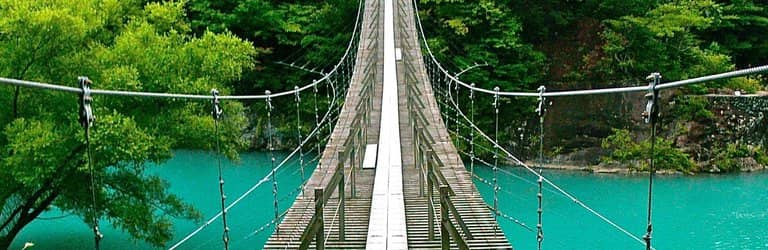 Forest Hiking Trails