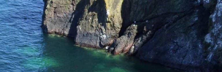Seabird Colonies